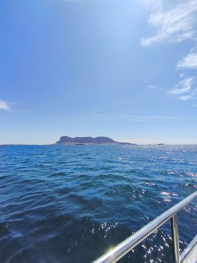 Gibraltar Dolphins
